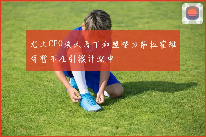 尤文CEO谈大马丁加盟潜力弗拉霍维奇暂不在引援计划中